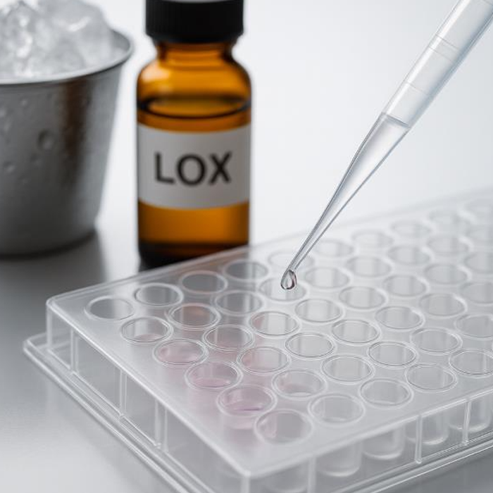 Lactate-Oxidase-(LOX)